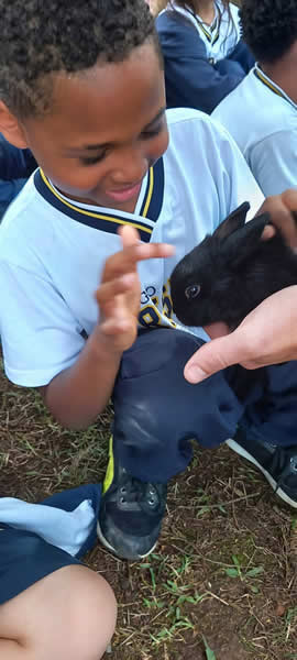 Bicho Mania 2022